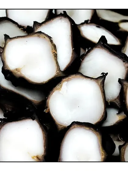 A close up of the beautiful water chestnuts (Singada) before they are cooked. Their crisp white flesh has a wonderful texture that holds up well in curries.