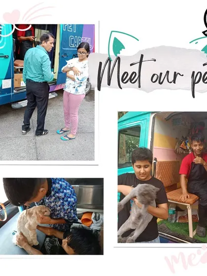 A collage celebrating some of the 100+ pets we groomed in our first month in Mumbai. We're so grateful for the warm welcome and the trust of our new clients.