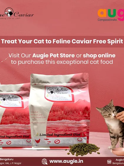 You can treat your cat to the benefits of Feline Caviar's Free Spirit formula by visiting one of my stores or shopping online. It's an exceptional food for cats of all life stages.