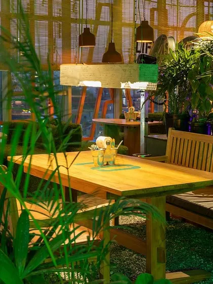 A cozy corner in Social Offline, filled with lush greenery. This image conveys a feeling of being in a calm, green oasis, even indoors.