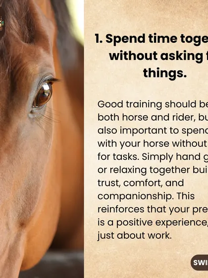 One of our tips for bonding with your horse is to spend time together without asking for anything, like simply hand grazing.