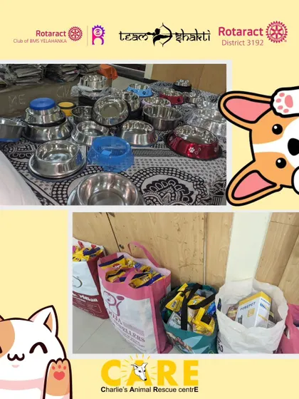 A closer look at the bowls and food packets donated by the Rotaract Club. These essential items will be put to immediate use for our 400+ animals.