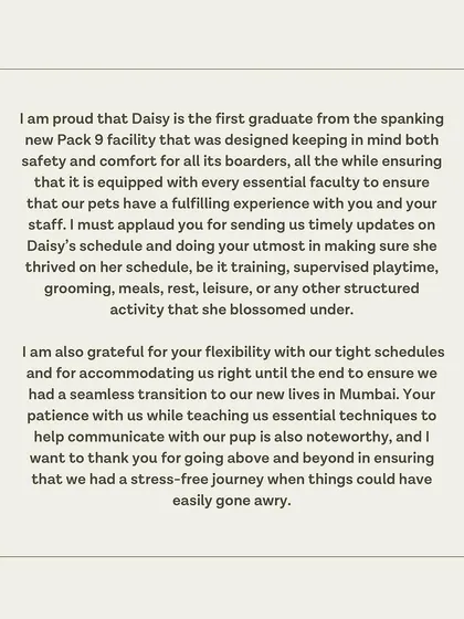 A testimonial from Daisy's guardian, praising our facility and the seamless transition we provided for their move to a new city.