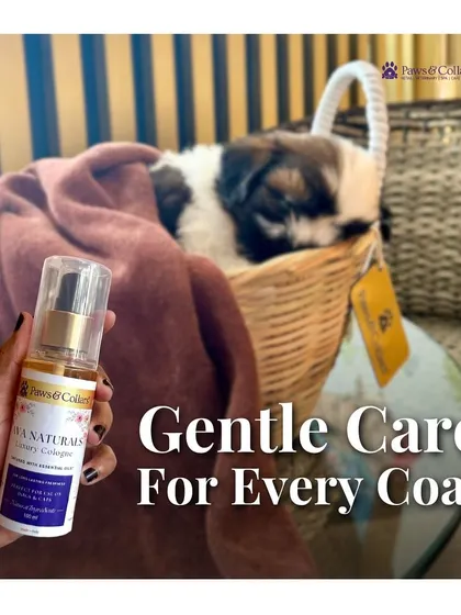 A hand holds a bottle of our cologne next to a puppy resting in a basket, with the text "Gentle Care For Every Coat." It reinforces that our formula is safe and suitable for all pets, including the little ones.