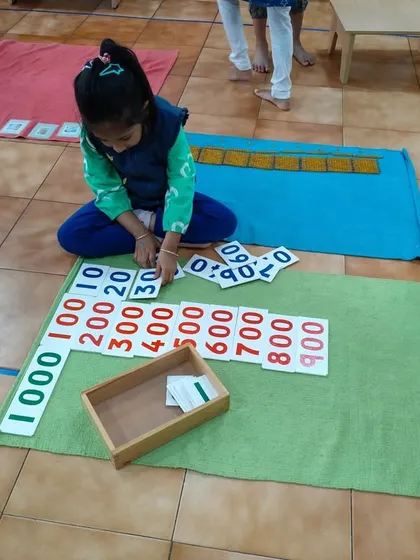 This child is working with number cards, a key material in our visual math curriculum. This hands-on approach helps children build a deep, intuitive understanding of quantity and the decimal system, moving beyond simple memorization.