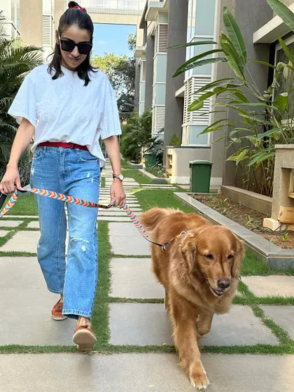 A comfortable dog and a confident handler. Choosing the right equipment, like a well-fitting harness and a comfortable leash, makes all the difference on our daily walks.