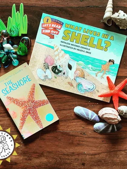 Our curriculum is rich with stories, music, and cultural explorations. This collection shows the variety of books we read, the activities we do, and the celebrations we share to broaden our children's horizons.