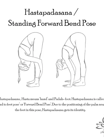 Hastapadasana (Standing Forward Bend Pose) stretches the entire back of the body, from the heels to the neck, improving flexibility and calming the mind.