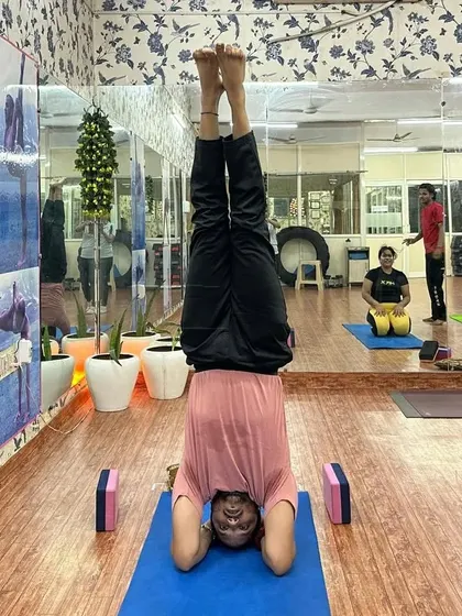A student practices Salamba Sirsasana (Supported Headstand) using blocks for support. We teach you how to use props correctly to make advanced poses accessible and safe for your future students.
