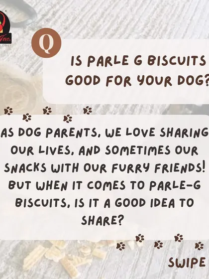 We all love sharing snacks with our furry friends, but is it a good idea to share Parle-G biscuits? Let's find out.