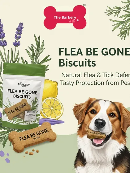Say goodbye to harsh chemicals and hello to natural pest protection. My Flea Be Gone Biscuits are a tasty, daily treat that helps repel fleas and ticks from the inside out. It's a simple and safe way to keep your dog comfortable and itch-free.