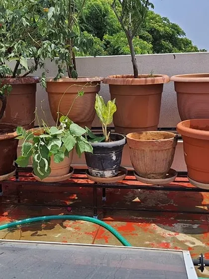This two-tier stand holds a variety of pots, both empty and planted, demonstrating its strength and versatility for any stage of your gardening journey.