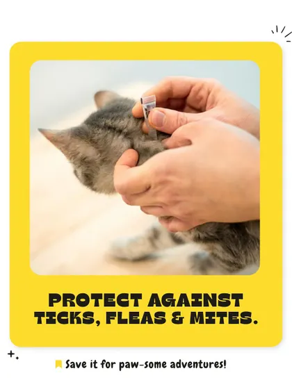 Protect your pet from ticks, fleas, and mites. Regular prevention is key to avoiding infestations that can cause skin problems and other health issues. We can help you choose the right product.