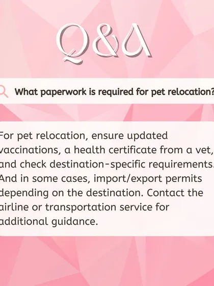 A common question we get is about the required paperwork for pet relocation. This post clarifies the need for updated vaccinations, a health certificate, and destination-specific import or export permits.