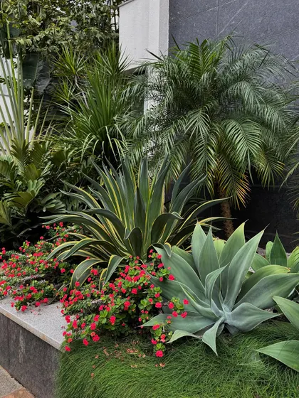This gravel mulch garden, planted in 2021, has grown in to completely cover the space. The plants form a cohesive community, shading the soil and supporting each other.