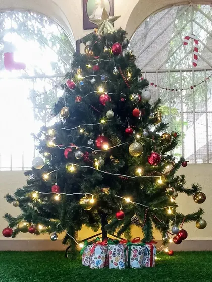 Our beautifully decorated Christmas tree, bringing festive cheer to our school.