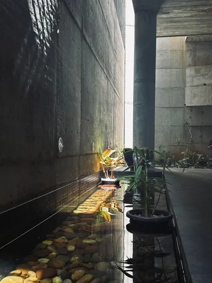 Sunlight streams through a narrow opening, illuminating a serene indoor water feature and highlighting the texture of the raw concrete wall.