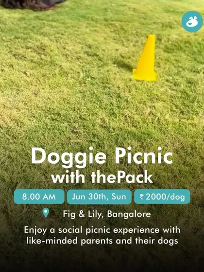 An invitation to our Doggie Picnic at Fig & Lily, Bangalore. A perfect social experience for parents and their dogs to enjoy the outdoors.