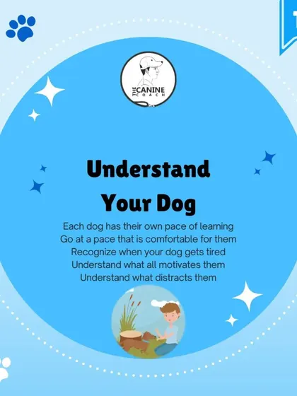 The first step to patience is understanding your dog. Each dog learns at their own pace, has different motivators, and gets tired. Recognizing their unique needs is key.