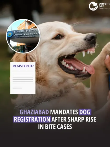 This is a weekly roundup of major animal-related news. This edition covers Ghaziabad's mandatory dog registration after a rise in bite cases.