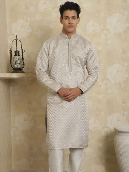 A front view of the light grey printed kurta, showing the detailed work on the neckline and the overall elegant design.