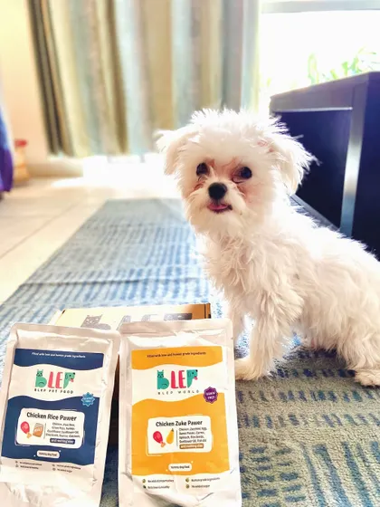 Another shot of our happy Maltese customer. It's so rewarding to know our simple, fresh ingredients are solving real health problems like acid reflux.