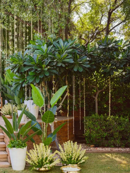 A serene corner of a Haldi setup, where lush greenery is accented with strings of delicate white flowers. We focused on creating a calm and cheerful atmosphere with a palette of mint green, blush, and yellow.