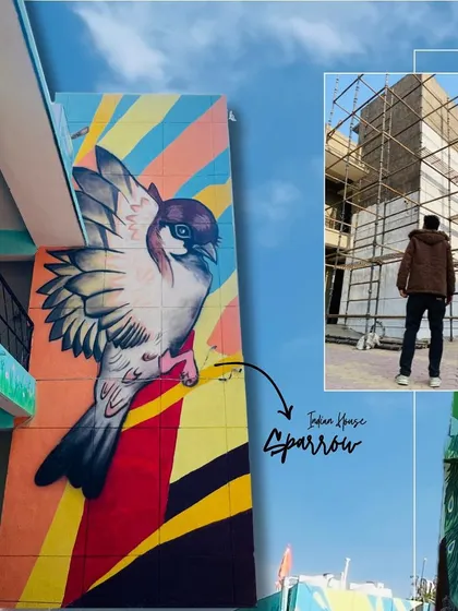 This image shows a before-and-after perspective, with an inset photo of the blank wall and scaffolding next to the finished Indian House Sparrow mural.