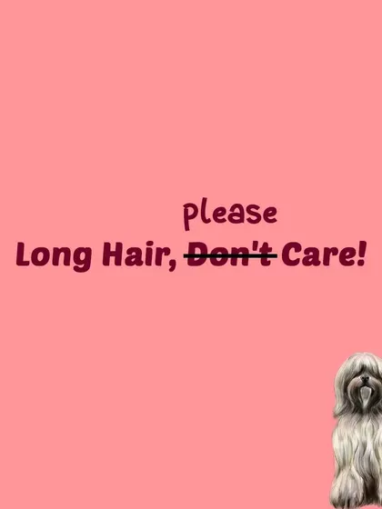 Please, long hair, do care. Taking care of a long-coated dog requires commitment, but we are here to help with tips and professional grooming.