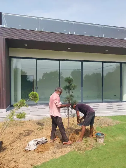 Two of my team members planting a new tree at a farmhouse. This hands-on work is crucial for creating the lush, green environment my clients envision.