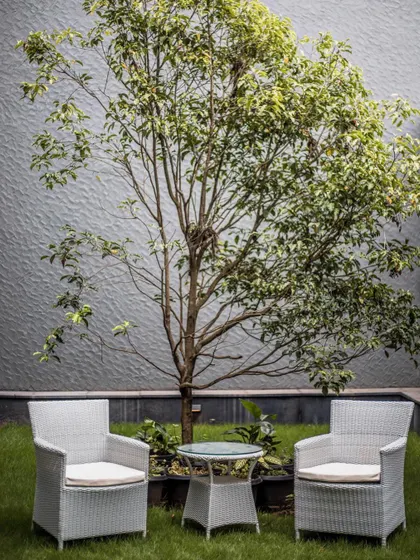 A simple and elegant outdoor seating arrangement against a textured grey wall, creating a serene spot to enjoy the garden.