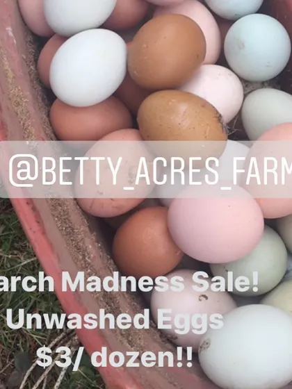 Sometimes our hens work overtime and we have an abundance of eggs. This was a flash sale for unwashed eggs, a great way for customers to get fresh farm eggs at a great price.
