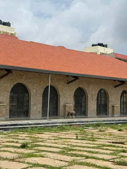 An exterior view of a commercial building with stone-textured walls that we are equipped to paint and maintain. We can work with a variety of exterior surfaces.