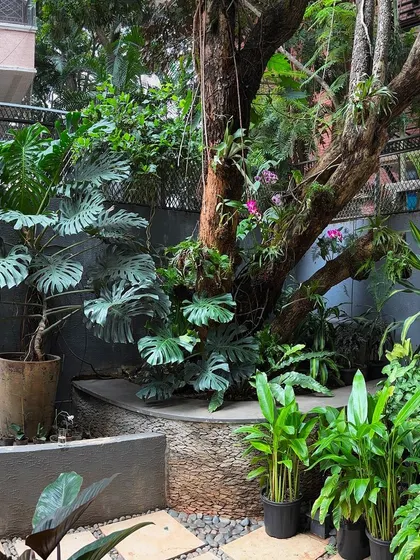 This garden makeover project shows how we layer different textures and forms, from the bold Monstera to delicate ground cover. We design spaces that feel lush, established, and deeply connected to nature.