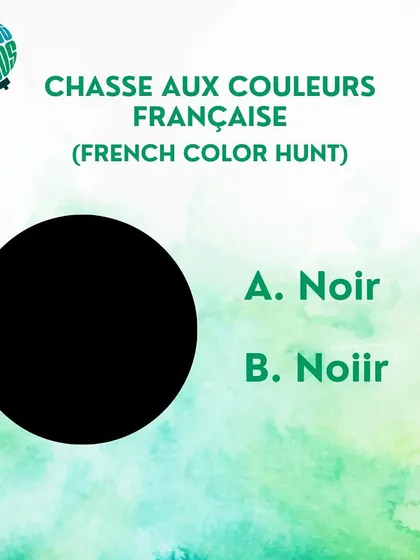 French color hunt: "Noir" or "Noiir"?