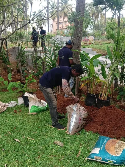 Planting in progress at a large residential site. We are adding new plants around existing trees, using our custom potting mix to give them the best start. This layered approach adds depth and texture to the garden design.