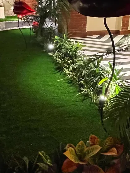 A winding garden path at night, edged with a brick border and white river stones. Low-voltage spotlights are placed within the plant beds to highlight the foliage and create a soft glow.