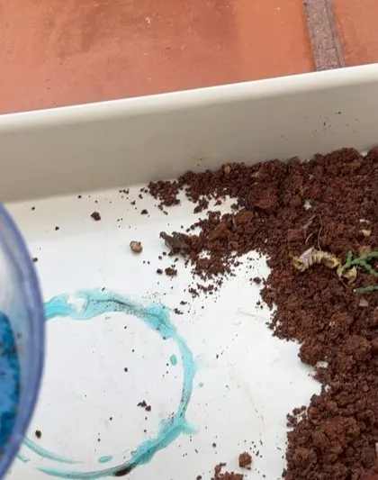 This simple setup combines mud and water, two textures kids are naturally drawn to. Pouring the "ocean" next to the "land" creates a small world for endless imaginative scenarios.