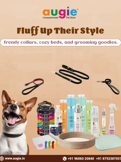 Fluff up their style with my collection of trendy collars, cozy beds, and grooming goodies. I've got everything your pet needs to look and feel their absolute best.