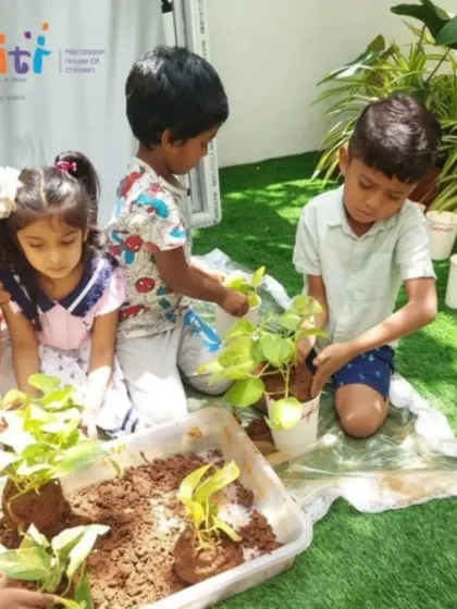 A group of children works together to pot plants in our garden. This hands-on activity connects them directly with the earth and the life cycle of plants.