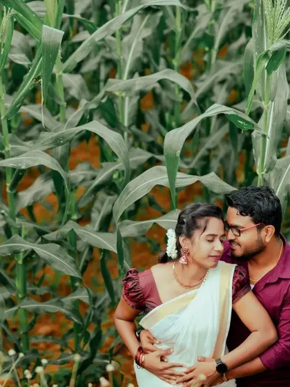 A duplicate of ID 111, showcasing a tender embrace amidst tall green stalks, a perfect example of a romantic, nature-filled pre-wedding shoot.