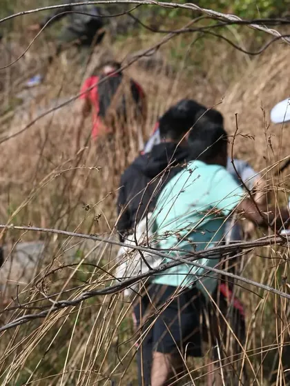 A shot through the wild grass of our team members on the trek.
