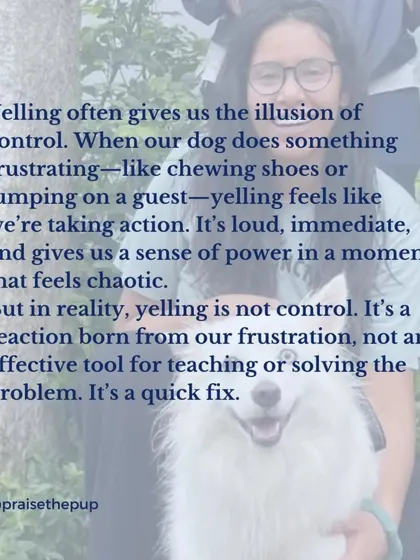 Yelling gives us the illusion of control, but it's really a reaction born from our own frustration. It's a quick fix that doesn't solve the underlying problem or teach the dog a better way to behave in the future.