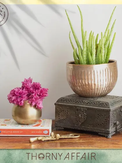 This ribbed metal planter in a warm copper finish sits beautifully on a vintage-style box. It’s a perfect example of how my pieces can blend with other decor to create a cozy, curated look.