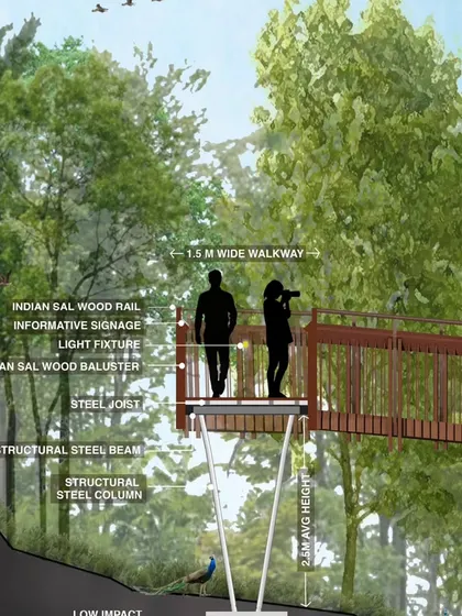 A section drawing of the walkway, illustrating its low-impact design. The structure is supported by slender steel columns, ensuring the forest floor remains undisturbed while providing an elevated path for visitors.