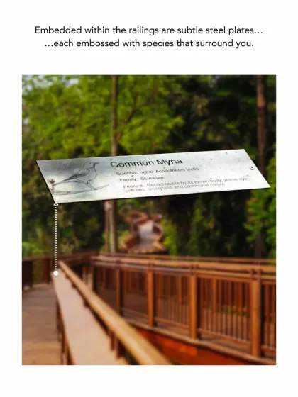 A close-up of an embossed steel plate on the Malabar Hill Walkway railing. These small details are part of our commitment to creating spaces that are not just beautiful but also educational and deeply connected to their context.