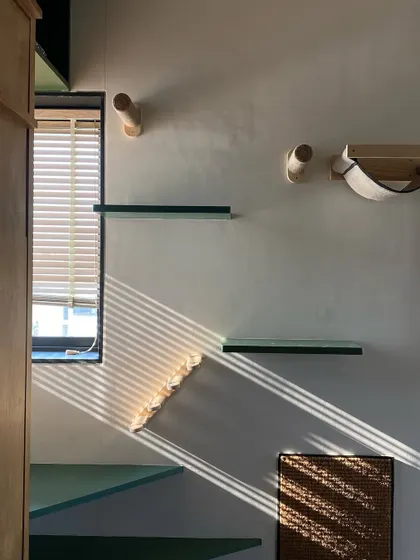 Sunlight casts beautiful shadows across the cat wall in the guest bedroom. This feature includes floating shelves, ramps, and a hammock, creating a vertical playground that is both a design element and a functional feature.