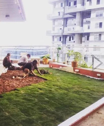 Our team is seen here installing a natural grass lawn on a residential terrace. We handle the entire process, from preparing the base layers for proper drainage to laying the fresh turf, transforming an empty space into a green, usable lawn.