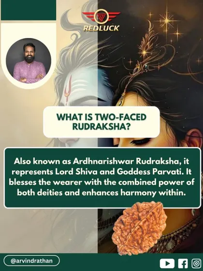 This image explains that the Two-Faced Rudraksha embodies the combined power of Lord Shiva and Goddess Parvati. It is a powerful bead for enhancing inner harmony and balancing the masculine and feminine energies within.