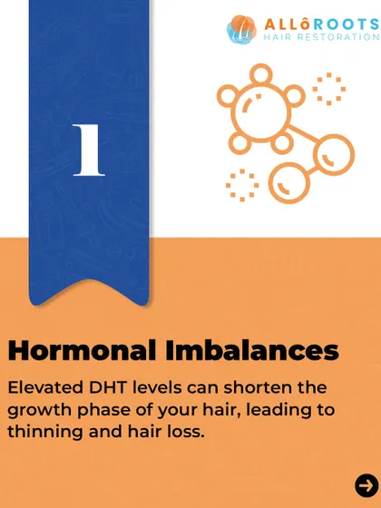 Hormonal imbalances are a primary driver of genetic hair loss. Elevated levels of Dihydrotestosterone (DHT) can shorten the growth phase of your hair cycle, causing follicles to shrink and leading to progressive thinning.